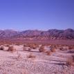 Untitled.Mojave Desert